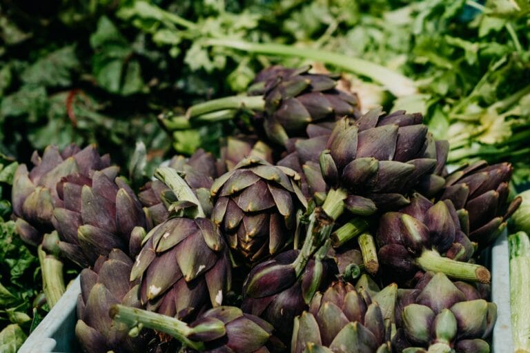 Artichoke digistudylab.in