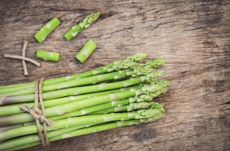 Asparagus digistudylab.in