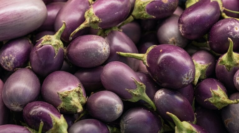 Brinjal digistudylab.in