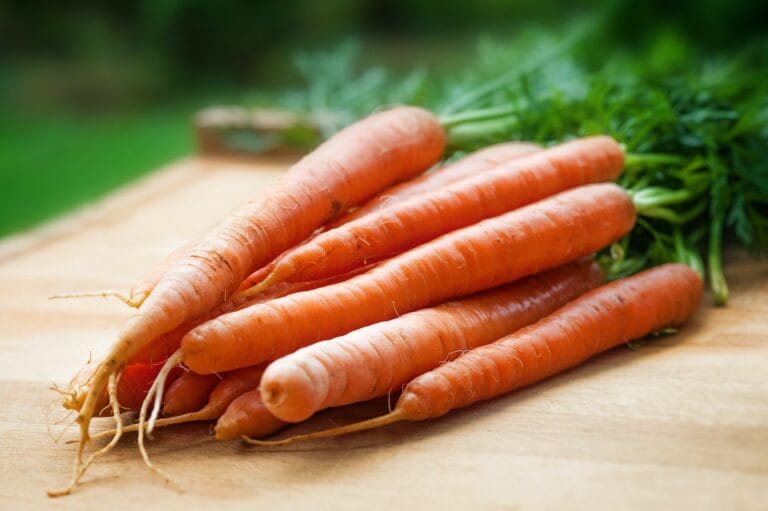 Carrots digistudylab.in