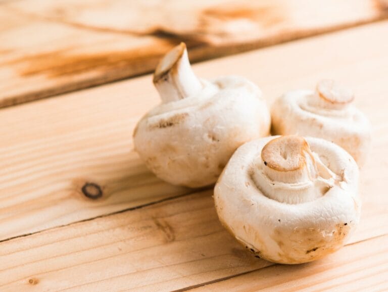 Mushrooms digistudylab (1)