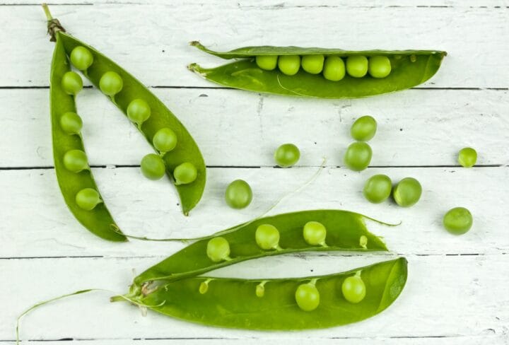 Peas digistudylab.in