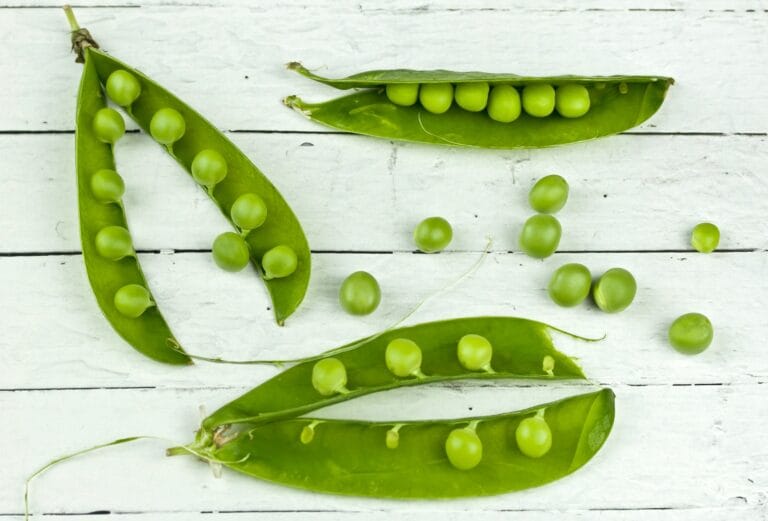 Peas digistudylab.in