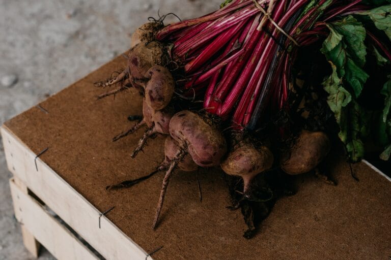 beetroot digistudylab.in