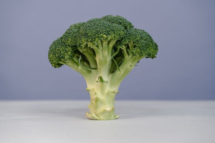 broccoli digistudylab.in