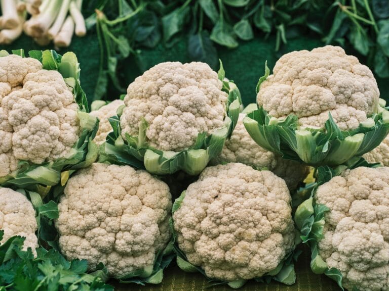 cauliflower digistudylab.in
