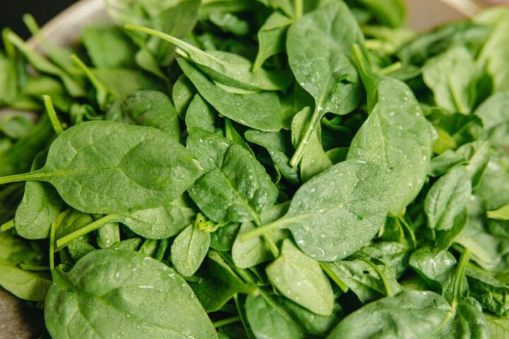 spinach digistudylab.in