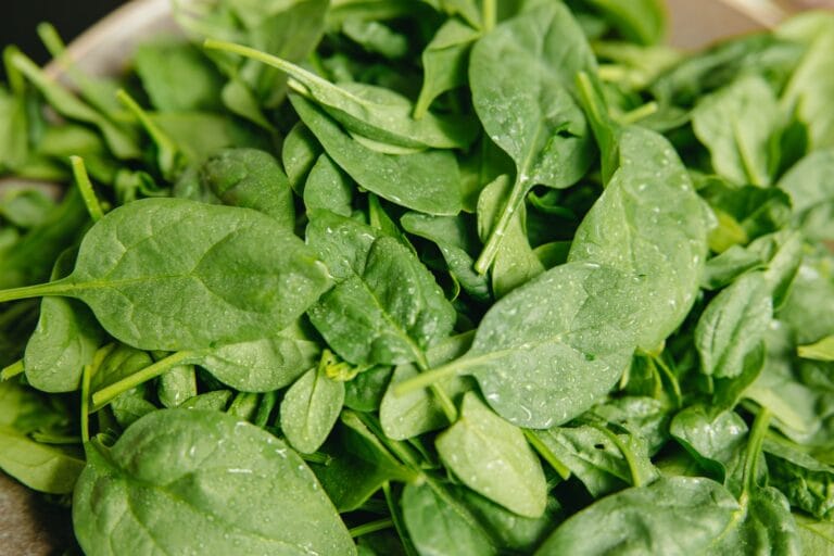 spinach digistudylab.in