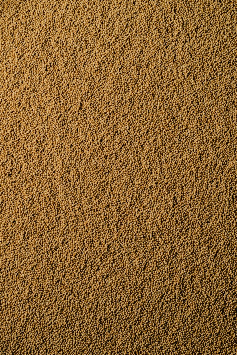 Amaranth digistudylab.in