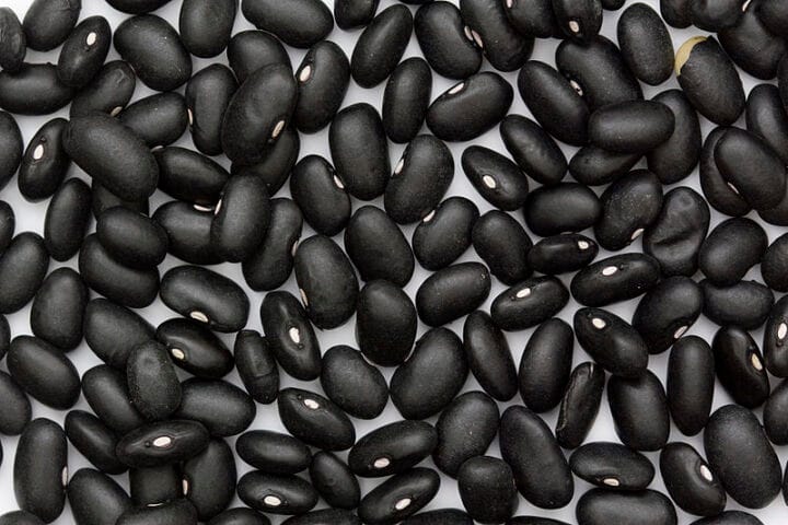Black beans digistudylab.in