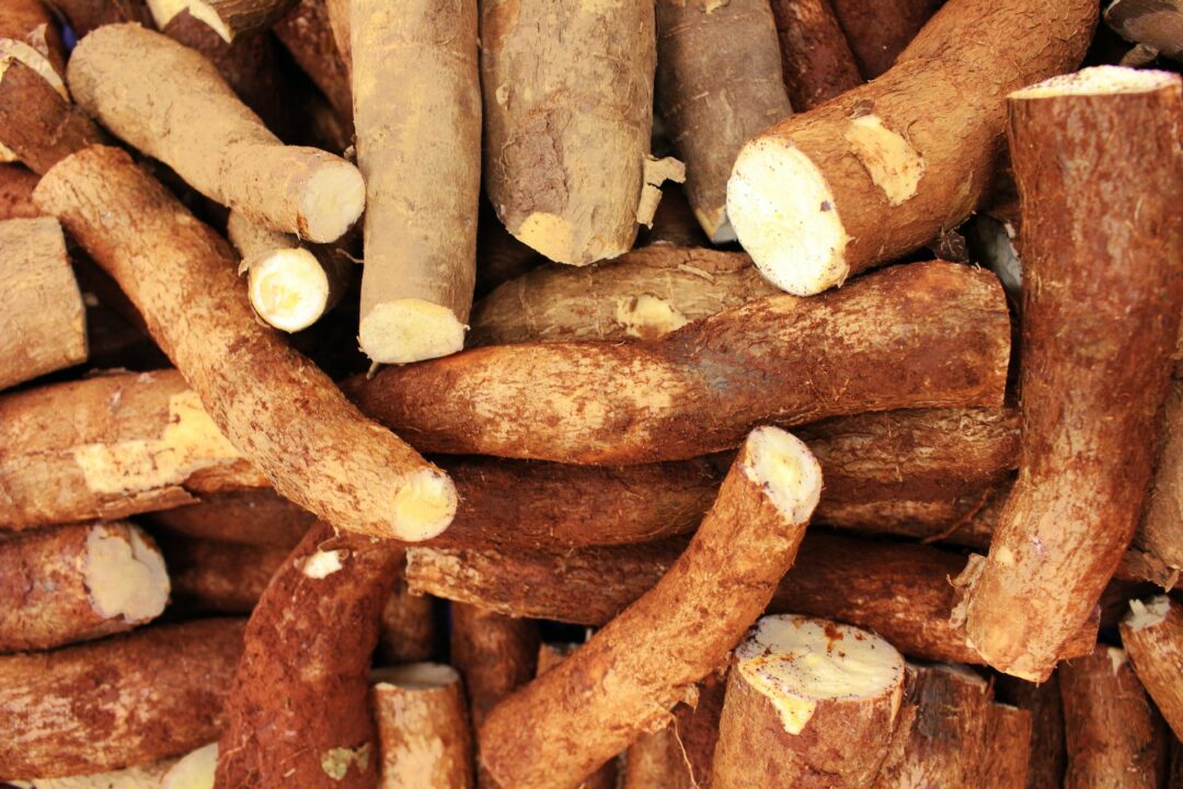 Cassava digistudylab.in