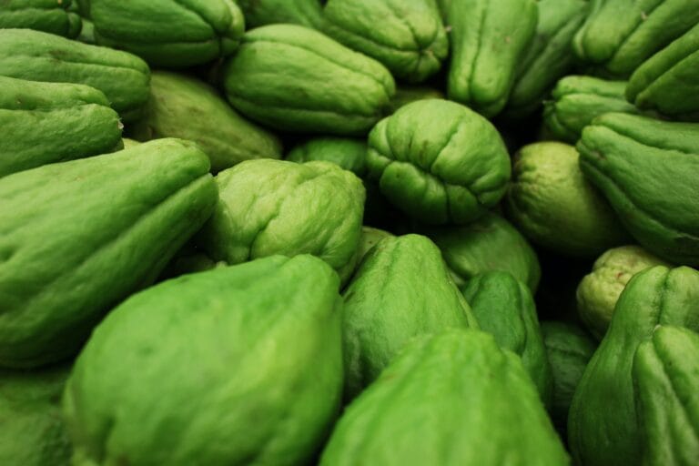 Chayote digistudylab.in