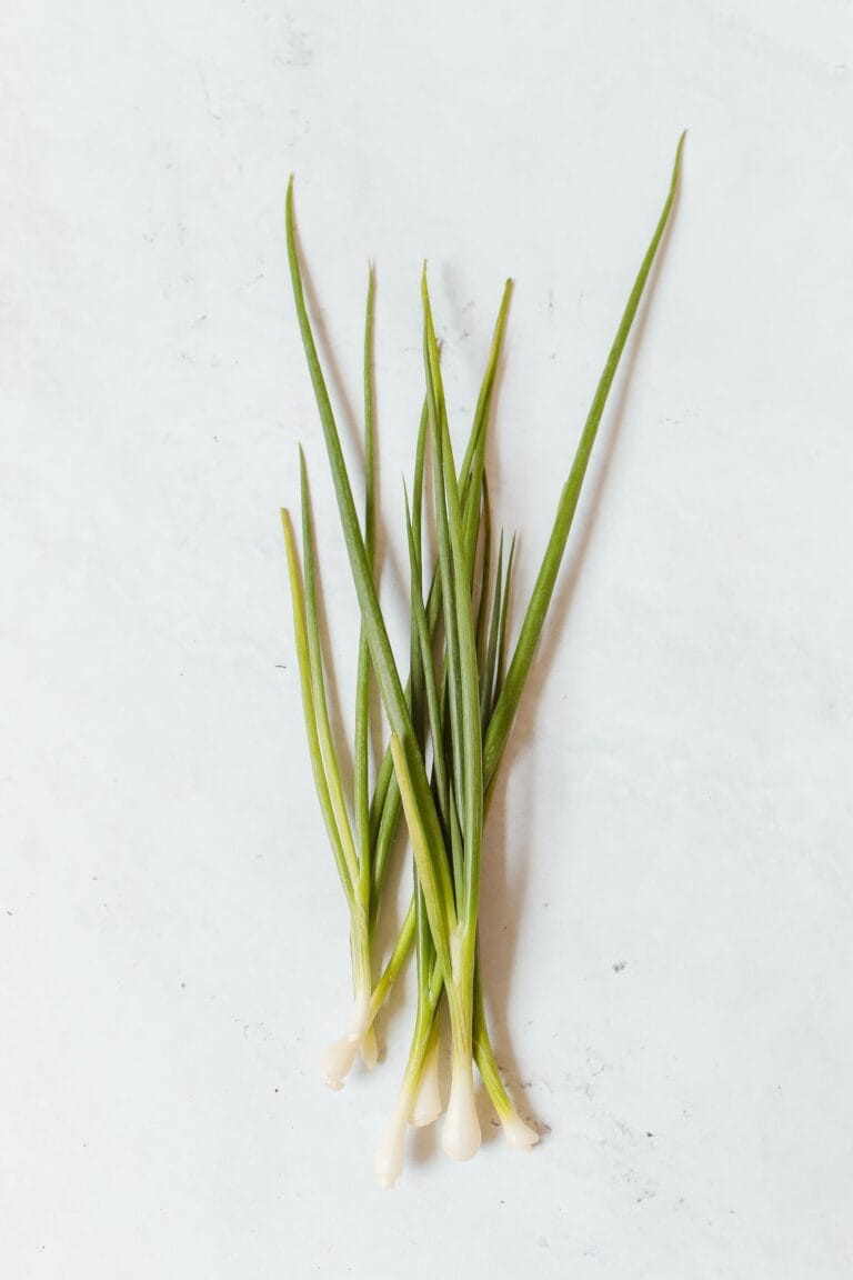 Chives digistudylab.in
