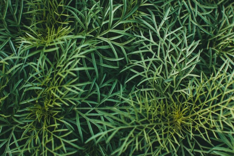 Dill digistudylab.in