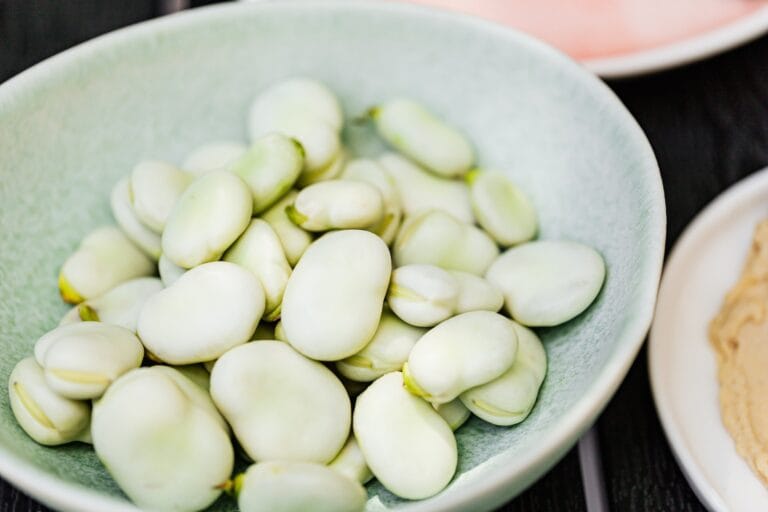 Fava beans digistudylab.in