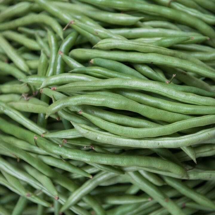 French beans Green beans digistudylab.in