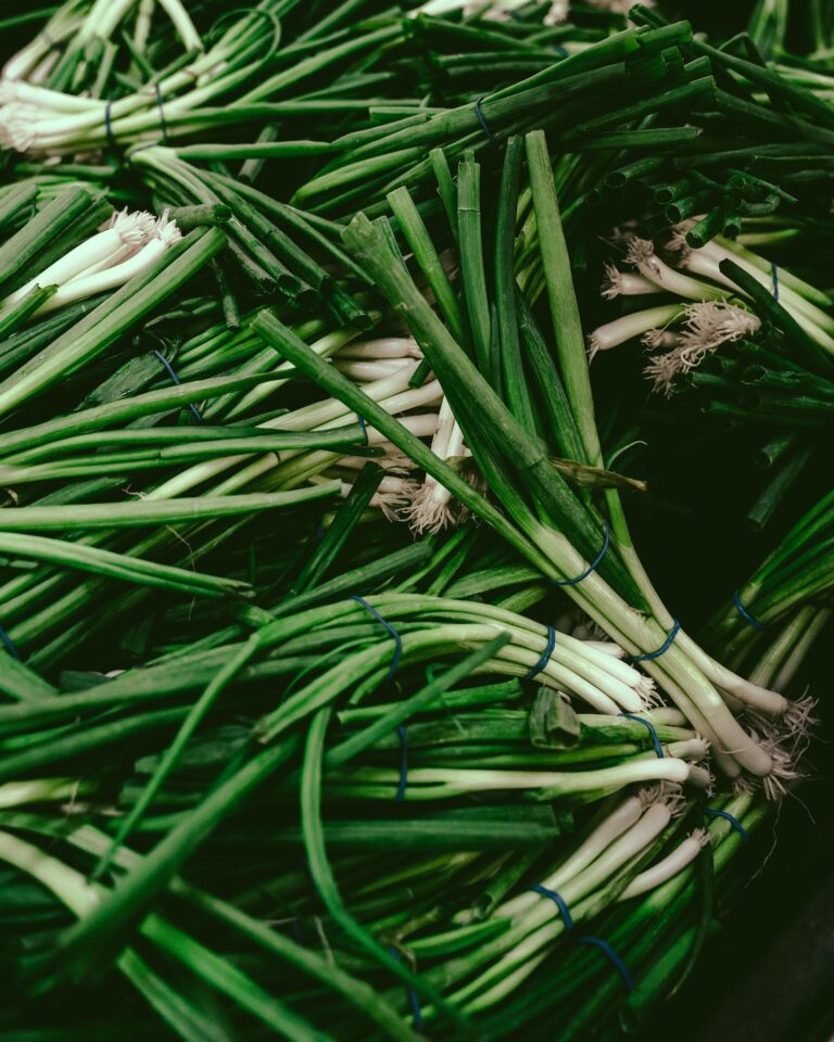 Green onion digistudylab.in