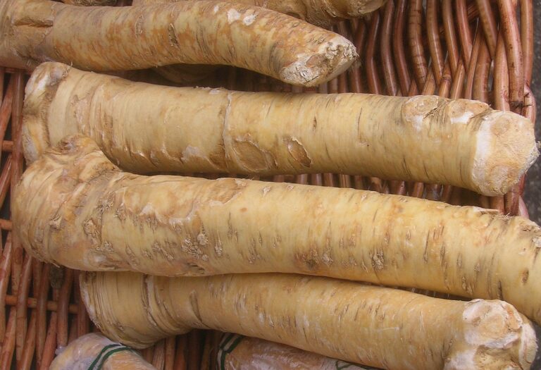 Horseradish digistudylab.in