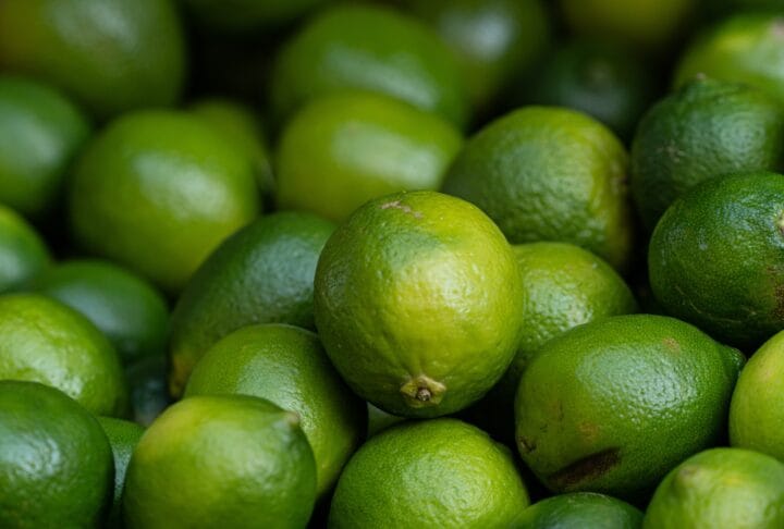 Lime digistudylab.in