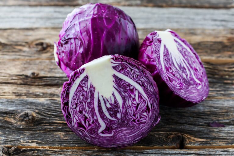 Red cabbage digistudylab.in