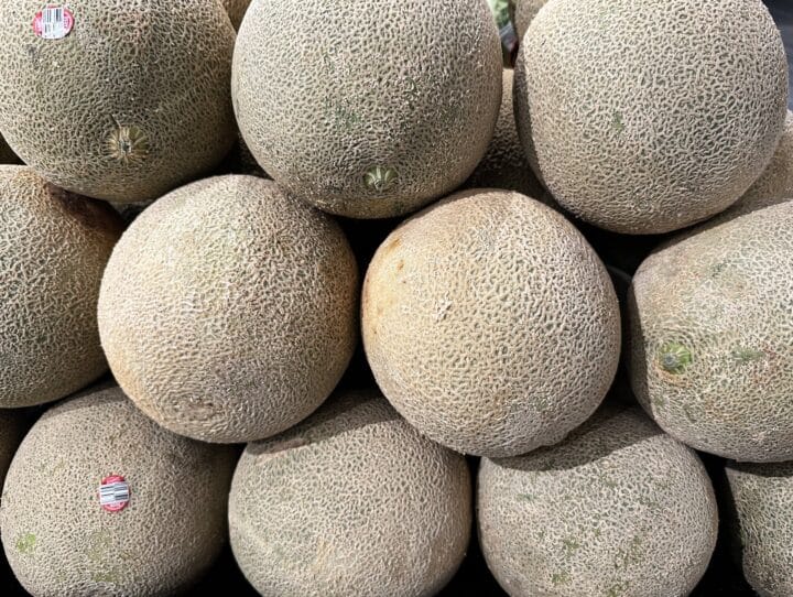 Cantaloupe Digistudylab.in