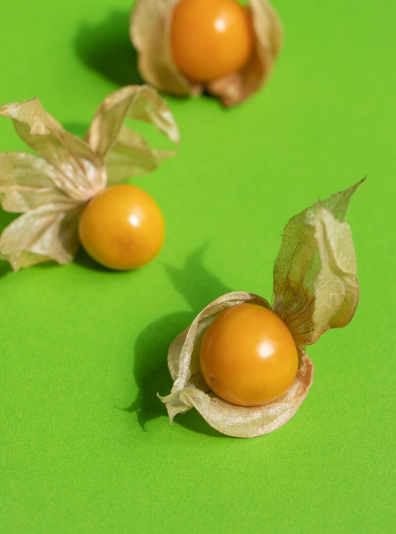Cape Gooseberry Inca Berry Physalis Digistudylab.in