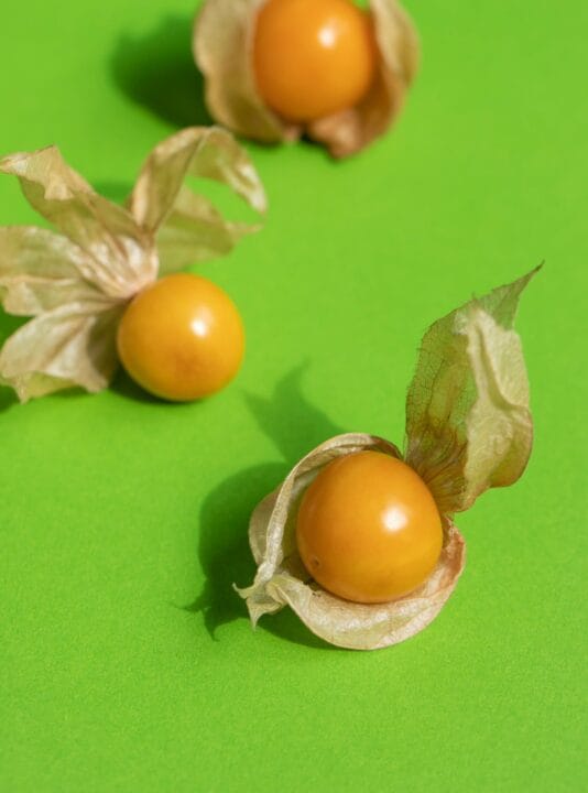 Cape Gooseberry Inca Berry Physalis Digistudylab.in