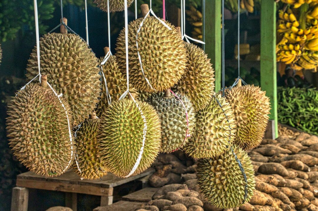 Durian Digistudylab.in