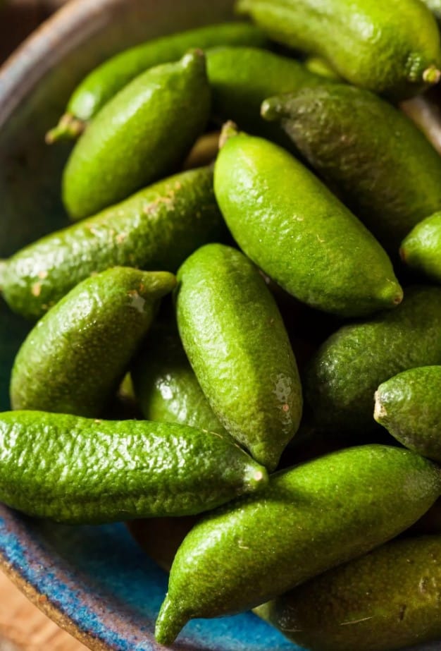 Finger Lime Digistudylab.in