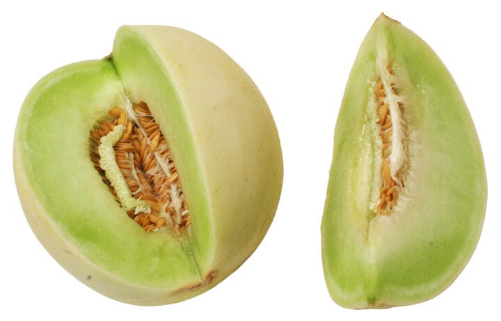 Honeydew Digistudylab.in