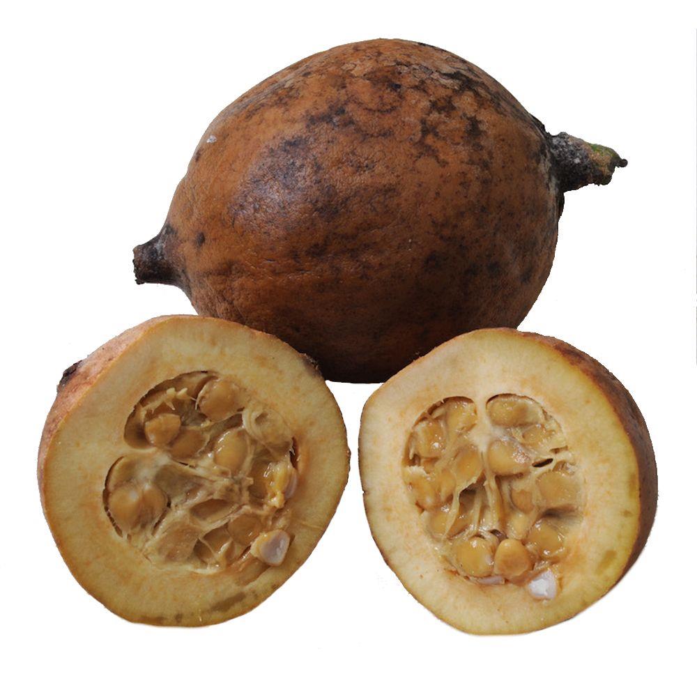 Jenipapo Digistudylab.in