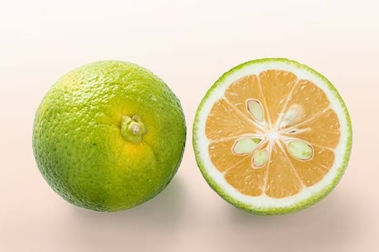 Kabosu Digistudylab.in