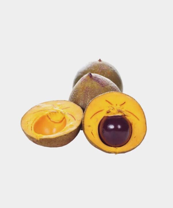 Lucuma Digistudylab.in