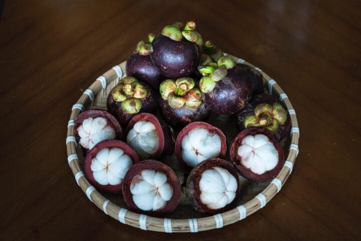 Mangosteen Digistudylab.in