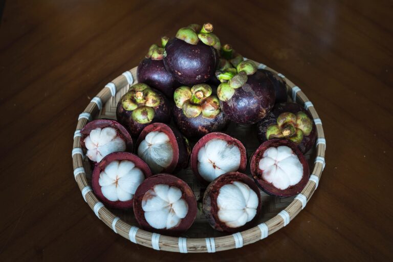 Mangosteen Digistudylab.in