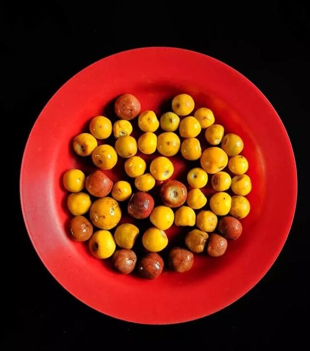 Nance Digistudylab.in