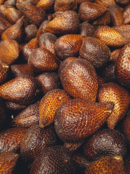 Snake Fruit Salak Digistudylab.in