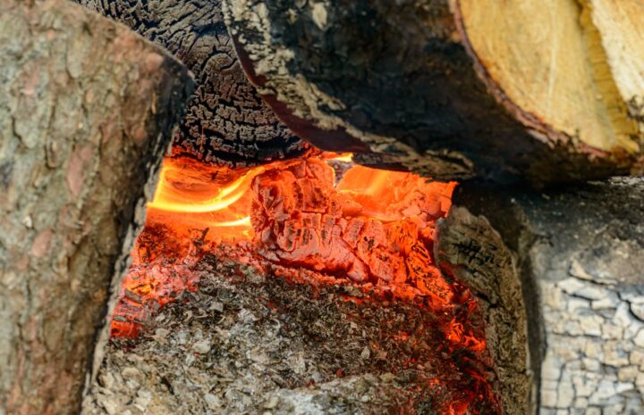 Biomass Energy Digistudylab.in