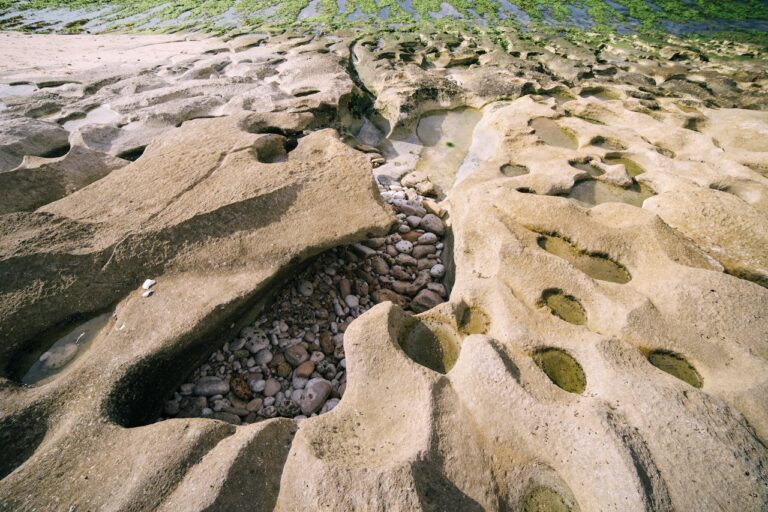 Sedimentary Rocks Digistudylab.in